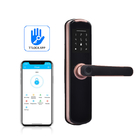 Cerradura de puerta de WiFi de la huella dactilar de FPC Thumbprint 0.1S biométrico sin llave