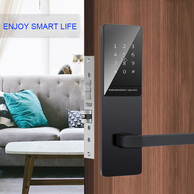 Negro FCC CE ROHS BLE Wifi Teclado Cerradura de puerta para apartamento en casa